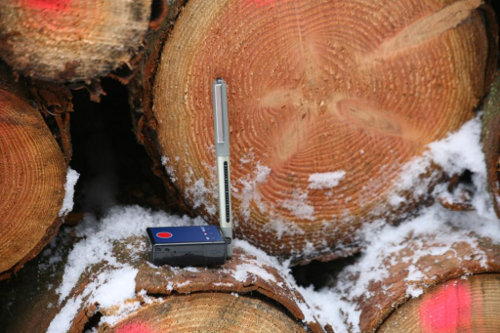 Wer Holzdiebe sofort auffliegen lässt