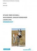 Schnell wachsende Jungunternehmen (Endbericht) Endbericht: Schnell wachsende Jungunternehmen, © MBWi