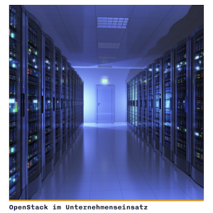 OpenStack im Unternehmenseinsatz, © Crisp Research AG