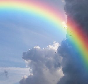 Wer bei Cloud Computing die Gewinner sind
