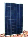 Schott Solar: Silberfreie PERC-Solarzellen Schott Solar: Silberfreie PERC-Solarzellen