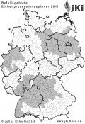 Eichen-Prozessionsspinner-Befall in Deutschland 2011 Eichen-Prozessionsspinner: Befall in Deutschland 2011, © Julius Kühn-Institut
