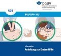 Erste-Hilfe-Anleitung Erste-Hilfe-Anleitung, © DGUV