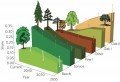 Development of the share of the area of major tree species in Europe Development of the share of the area of major tree species in Europe, © WSL/Nature Climate Change
