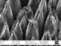 Schwarzes Silizium mit aufgerauter Oberläche Schwarzes Silizium mit aufgerauter Oberläche © Fraunhofer-Institut für Nachrichtentechnik, Heinrich-Hertz-Institut