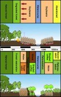 Nachhaltiges Landnutzungskonzept für Südamerika Nachhaltiges Landnutzungskonzept für Südamerika, © TUM