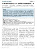 PLOS ONE: How Deep-Sea Wood Falls Sustain Chemosynthetic Life