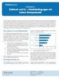 Factsheet Zeitdruck und Co – Arbeitsbedingungen mit hohem Stresspotenzial, © BAuA