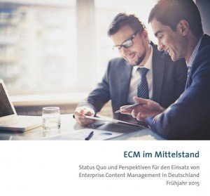 ECM im Mittelstand 2015, © BITKOM