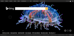 Bing-Suche, © Microsoft