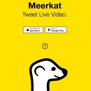 Vom Tweet zu Facebook, © Meerkat