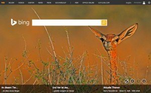 Bing, © Microsoft