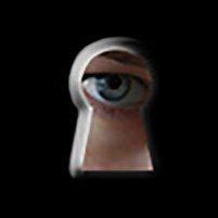 spy, © Evgeniya Ponomareva - Fotolia