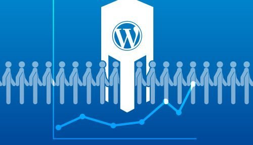 Wie WordPress eine Besucher­statistik bekommt