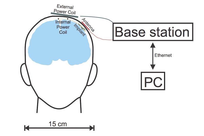 © David Rotermund et al. – MDPI