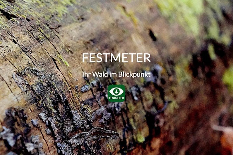 © Festmeter Wöls GmbH